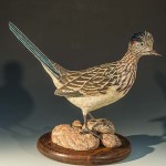 Roadrunner2