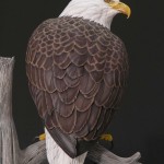 Mini Bald Eagle4